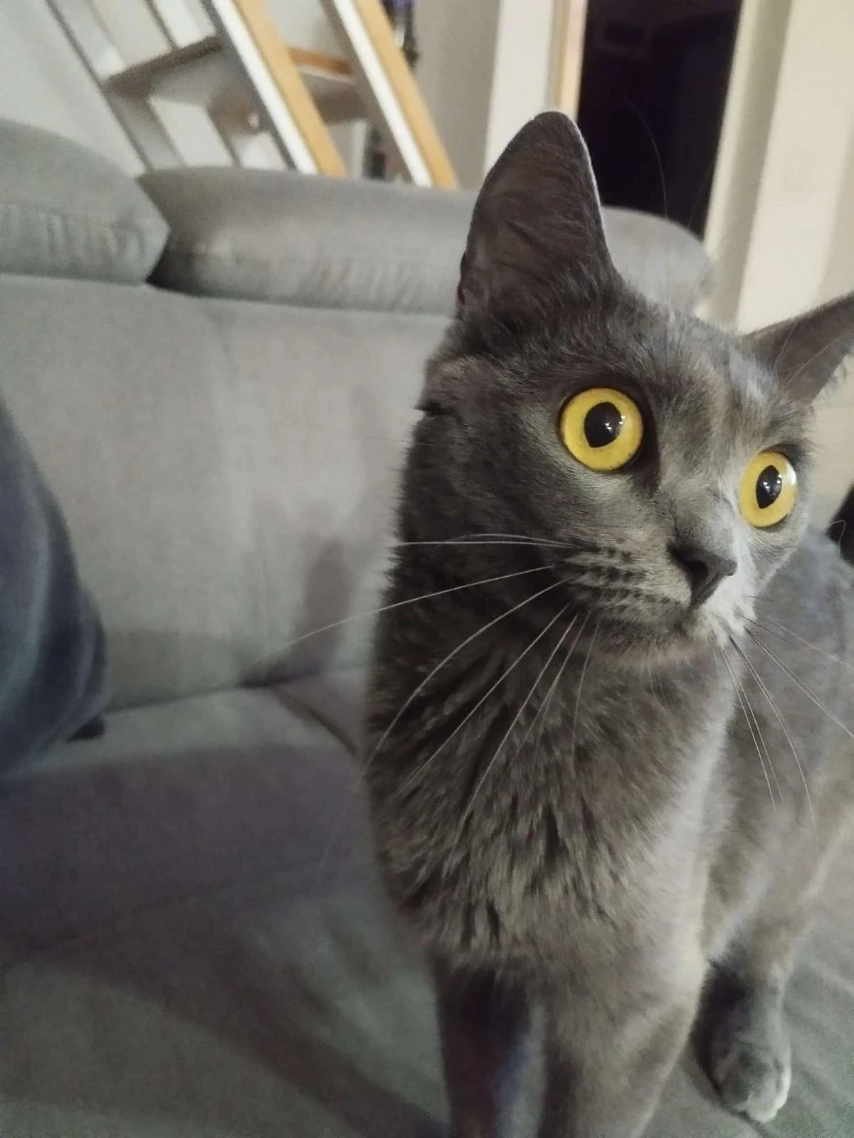 2131